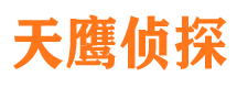 翠屏市调查公司